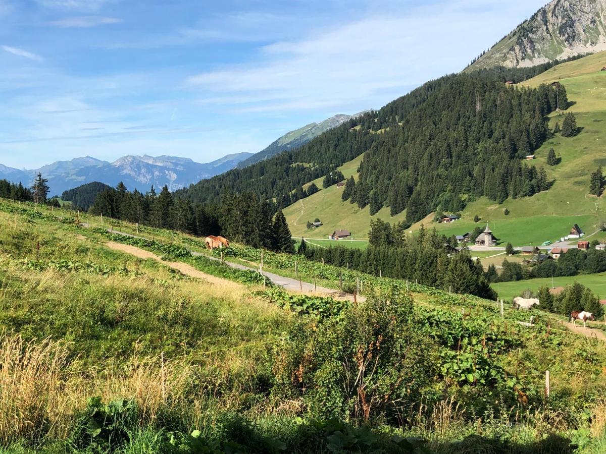 Alpine Dream Chalet With Spa Close To Lake Geneva Les Mosses ภายนอก รูปภาพ