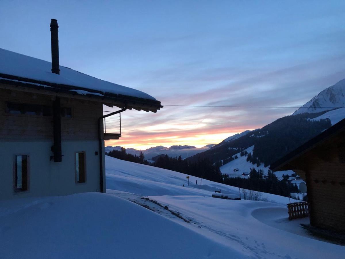 Alpine Dream Chalet With Spa Close To Lake Geneva Les Mosses ภายนอก รูปภาพ