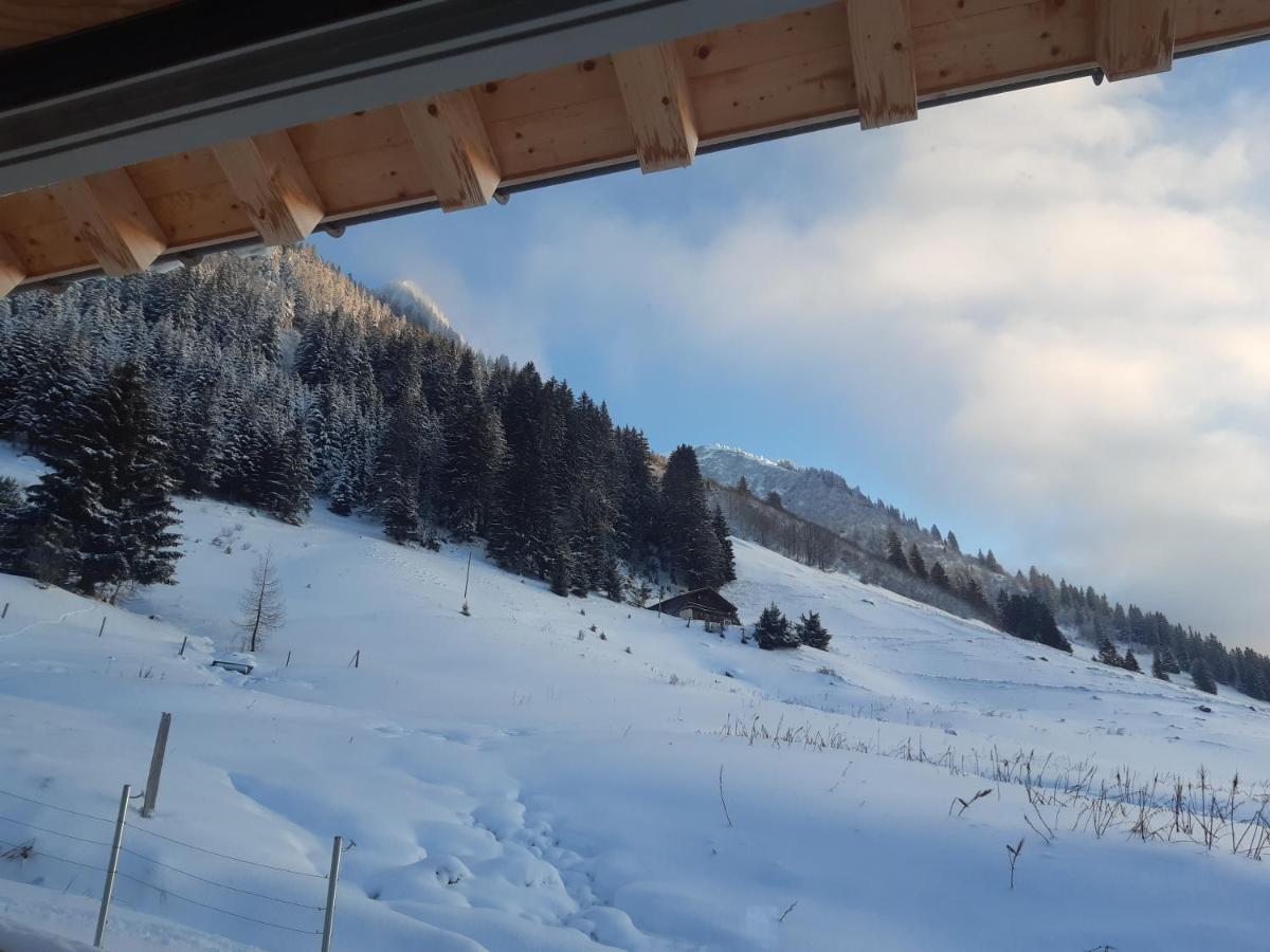 Alpine Dream Chalet With Spa Close To Lake Geneva Les Mosses ภายนอก รูปภาพ