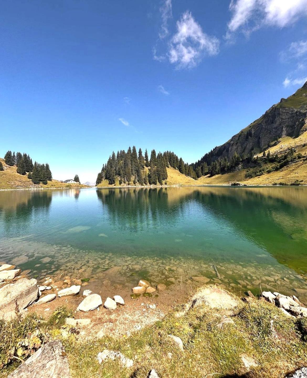 Alpine Dream Chalet With Spa Close To Lake Geneva Les Mosses ภายนอก รูปภาพ